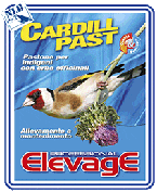 ELEVAGE HARMONY CARDILL PAST nlb NLB