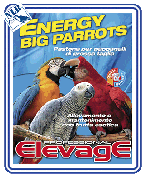 elevage harmony  big parrots NLB nlb