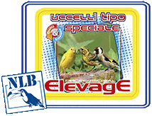 elevage uccelli tipo speciale nlb NLB