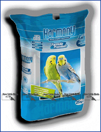 harmony cocorite NEW LITTE BIRDS