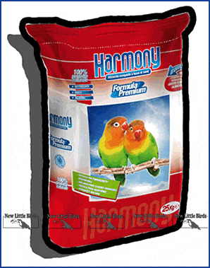 harmony elevage professional  inseparabili parrocchetti nlb new little birds
